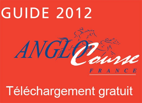 teaser_guide_2012