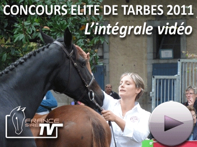 concours_elites_tarbes_2011_TV
