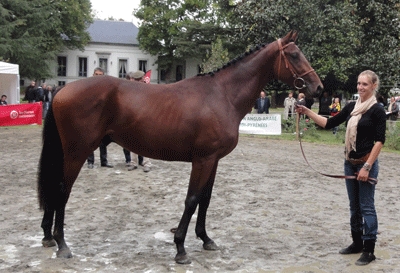 17_Vivaldi_du_Castet_2