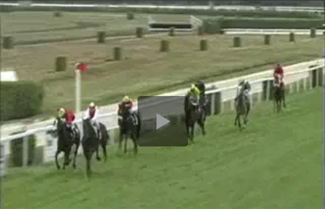 mont_de_marsan_video Les vidéos des courses d'anglo-arabes à Mont-de-Marsan