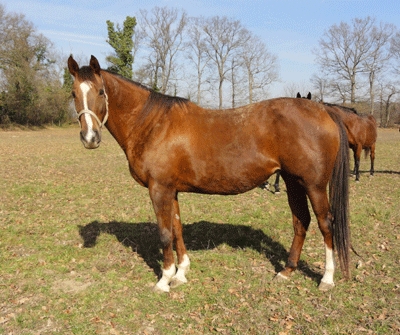 manga_blue Manga Blue